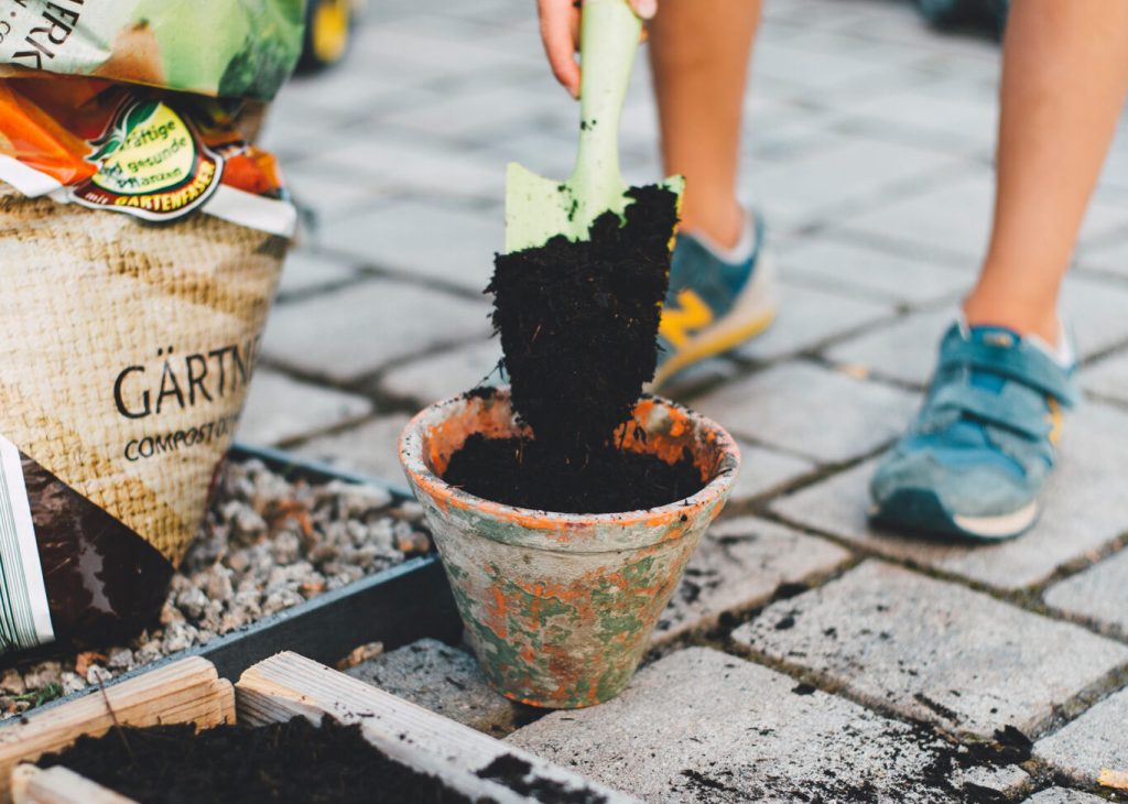 Plants on the ground at Wil-Mar Neighborhood Center.
